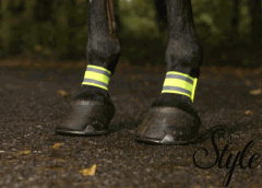 Fényvisszaverő szett ló első lábaira