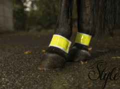 Fényvisszaverő szett ló hátsó lábaira