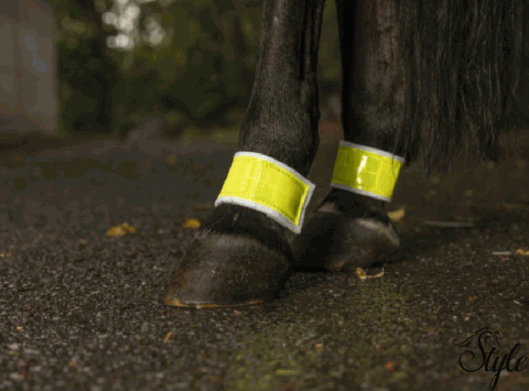 Fényvisszaverő szett ló hátsó lábaira