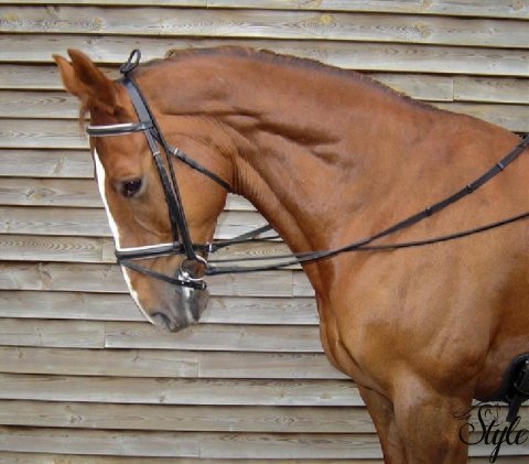 Harrys Horse elasztikus lekötőszár futószárazáshoz vagy lovagláshoz 