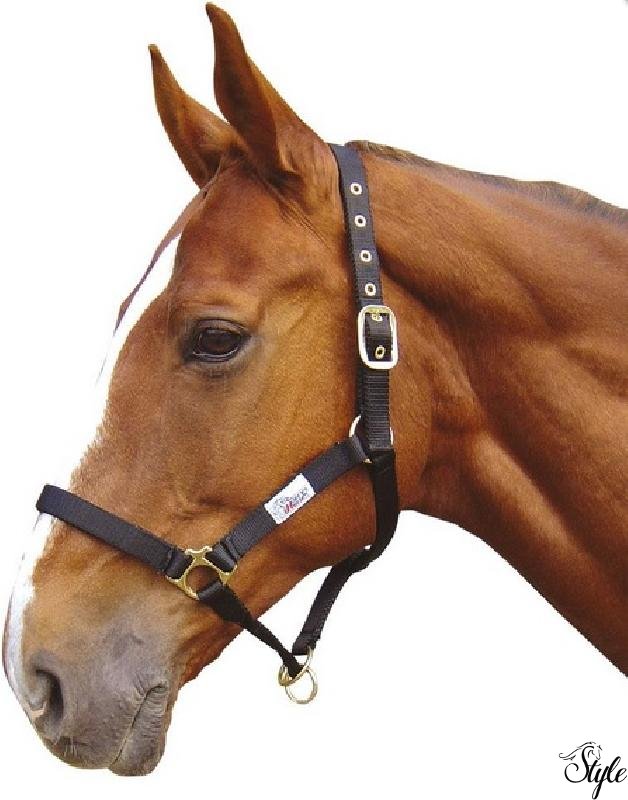 Harrys Horse kötőfék Extra Controll nehezen megfogható lovaknak