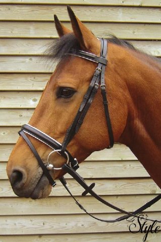 HARRYS HORSE angol orrszíjas kantár Luxury