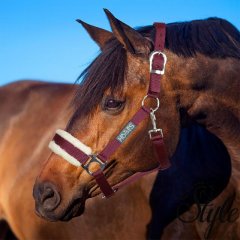 HORSES szörmével bélelt orrfékes kötőfék Winry