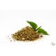 Pacitea Lamin-Ex