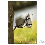 BR Hobby Horse mini ló