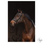 ANKY angol orrfékes kantár gurtnis szárral ATH24001