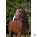 RIDING WORLD „Muserolle Combinée” kantár