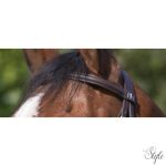 RIDING WORLD „Muserolle Combinée” kantár