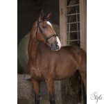 RIDING WORLD „Muserolle Croisée” kantár