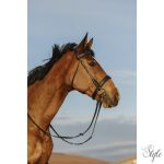 RIDING WORLD széles orrfékes kantár