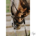 NORTON kantár zabla nélküli