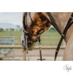 NORTON kantár zabla nélküli