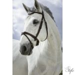 NORTON PRO „Combinée” kantár