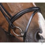 NORTON PRO „Combinée” kantár