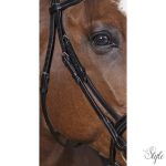 NORTON PRO „Combinée” kantár