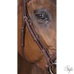 NORTON PRO „Vague” kantár