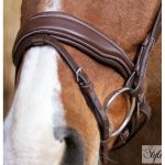 NORTON PRO „Miss” kantár