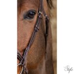 NORTON PRO „Miss” kantár