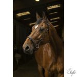 NORTON PRO „Confort” zabla nélküli kantár