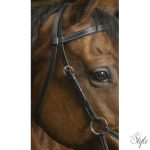 NORTON PRO sidepull Confort