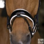 NORTON PRO „Bella” kantár