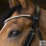 NORTON PRO „Bella” kantár