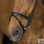 NORTON PRO „Rock” kantár