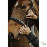 NORTON PRO - Apophyse - kantár