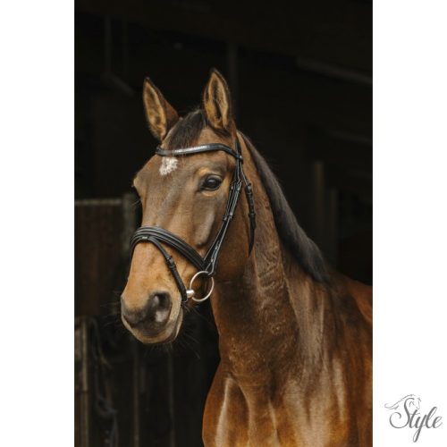 NORTON PRO - Galon - kantár