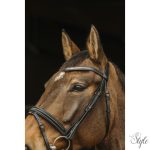 NORTON PRO - Galon - kantár