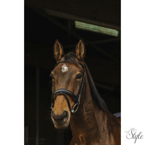 NORTON PRO - Dark - kantár