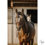 ERIC THOMAS - Work - kantár