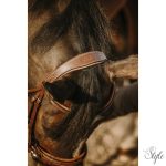 ERIC THOMAS - Work - kantár