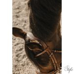 ERIC THOMAS - Visby - kantár