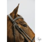 NORTON CLUB - Strass V - kantár