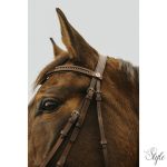 NORTON CLUB - Strass V - kantár