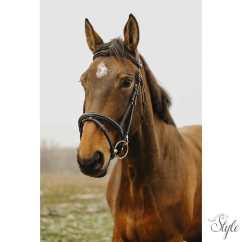 NORTON CLUB - Easy - kantár