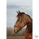 NORTON CLUB - Easy - kantár