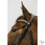 NORTON CLUB - Diva - kantár