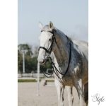 RIDING WORLD nagykantár