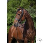 RIDING WORLD nagykantár