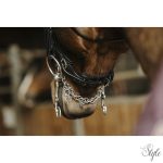 NORTON PRO „Basal” nagykantár