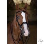 ERIC THOMAS ELITE nagykantár