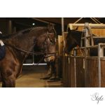 NORTON PRO 13 mm német szövetszár