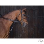 RIDING WORLD bőr Gogue szár