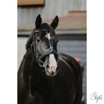 NORTON széles kapicán