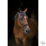 ERIC THOMAS PRO „Wave” kantár