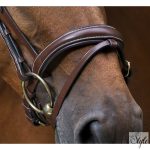 ERIC THOMAS PRO „Wave” kantár