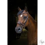 ERIC THOMAS PRO „Design” kantár