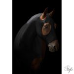 LAMI-CELL nyakvédő